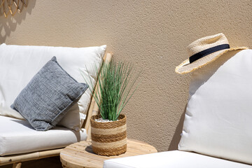 Detail of Outdoor Cushion, Plant, and Hat