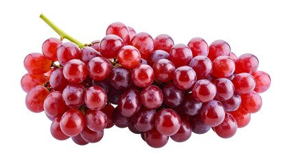 Fototapeta premium Red grapes cluster