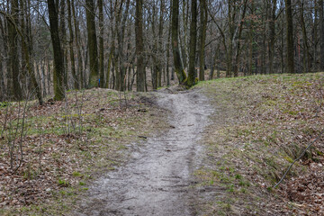 Trail in forest area in Bialoleka district in Warsaw, capital of Poland