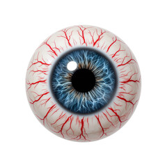 Intricate Human Eye Anatomy Displayed with Detailed Iris and Vein Structure on Plain Field