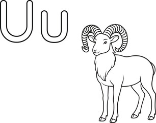 Alphabet coloring page letter U with urial