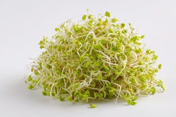 Sprouts Alfalfa. Healthy Fresh Alfalfa Sprouts Heap Isolated on White Background