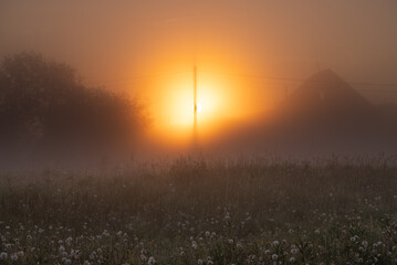 Golden sunlight illuminating a foggy meadow filled with dandelions and power lines, creating a serene and magical atmosphere in the tranquil countryside at dawn