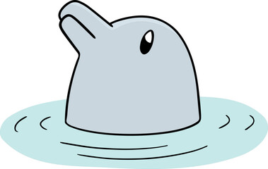 Illustration of dolphin
