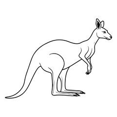 kangaroo icon vector illustration
