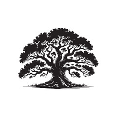 Variety of Tree Silhouettes Vector Set on White Background