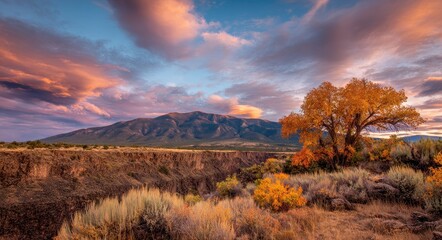Taos Fall - Golden Hour Landscape at Rio Grande Gorge with Mountain and Tree Silhouette