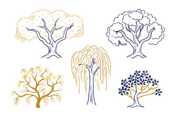 Trees Hand Drawn Illustration: A collection of hand-drawn trees showcasing different tree forms and foliage. These illustrations are perfect for adding a touch of nature to your designs.