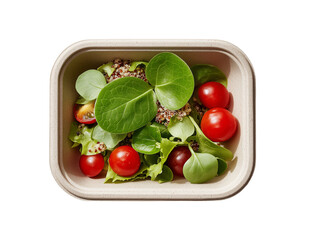 Sustainable Takeout Salad in Recycled Sugarcane Pulp Container with Clear Lid, Top-Down View on Transparent Background