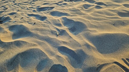 Wind-shaped patterns on beach sand create visual harmony, ideal for nature based design and...