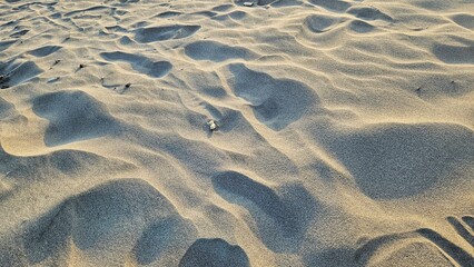Sandy dunes with delicate curves and subtle footprints under afternoon sun, ideal for storytelling or environmental visuals