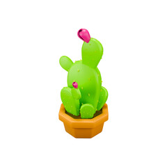 Pink Flower Cactus