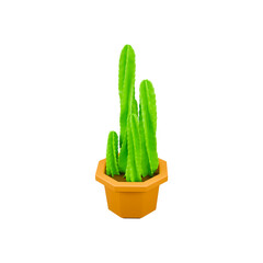 Multi-Stem Cactus Plant