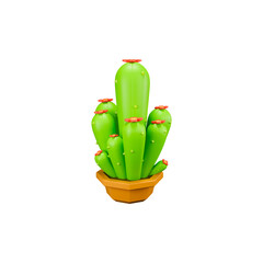 Green Cactus with Pink