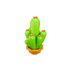 Small Pink Flower Cactus