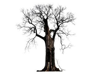 Chopped Tree Isolated on White