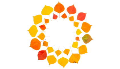 Autumn leaves in warm colours arranged in a circular pattern, isolated on transparent background.