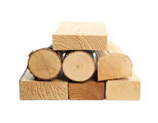 Cut Tree Log Isolated on White