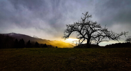 sunrise in the fog