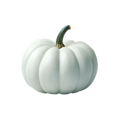 White Pumpkin Isolated on Black Background – Autumn Decor or Halloween Element
