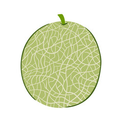 Melon in hand drawn style. Vector illustration isolated on white background