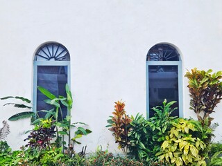 Clean white wall featuring two arched windows with reflections and lush garden plants below. Ideal...
