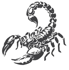 vector illustration of a very deadly scorpion silhouette with a cool look