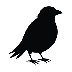 A minimalist black silhouette of a bird with white stylized feathers on its chest and wings, standing on a white background.