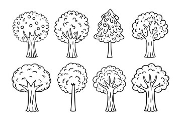 Diverse Tree Collection: A collection of intricately detailed illustrations of various trees in a variety of shapes and forms
