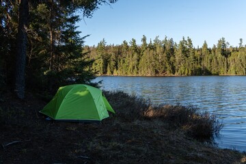 Green tent by a tranquil forest lake.