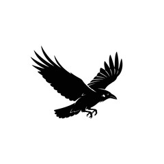 Obraz premium Majestic raven silhouette in flight showcasing dark elegance against white backdrop