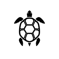 Obraz premium Minimalist black and white turtle illustration on a white background artwork design