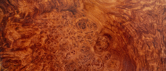 Nature afzelia burl wood striped, Exotic wooden beautiful pattern texture background