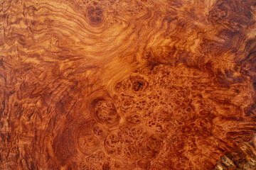 Nature afzelia burl wood striped, Exotic wooden beautiful pattern texture background