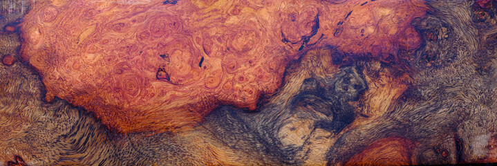 Nature afzelia burl wood striped, Exotic wooden beautiful pattern texture background