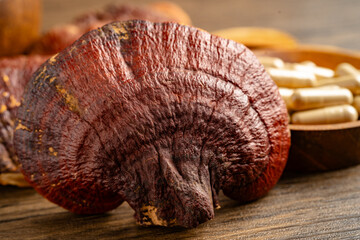 Dried lingzhi mushroom with capsule drug, alternative medicine herbal organic herb.