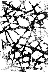 Obraz premium Black and white spider web pattern with gothic geometric design for art and decor