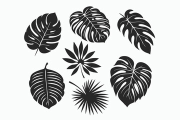 Fototapeta premium Several detailed dark palm and monstera leaves are displayed in a symmetrical composition