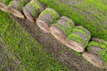 A Top Down View of an Agricultural Field. Concept A modern look at farming.