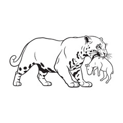 Fototapeta premium Fine Jaguar Line Art – Jaguar Vector Illustration Clean Drawing with Sleek Shape – Jaguar Drawing – Line Art Drawing of Jaguar – Jaguar Icon