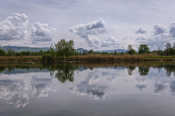 View on fishing pond in Miedzyrzecze Gorne village, Silesia region of Poland