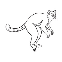 Minimal Lemur Line Art – Lemur Vector Illustration Artistic Drawing with Slender Form – Lemur Drawing – Line Art Drawing of Lemur – Lemur Icon

