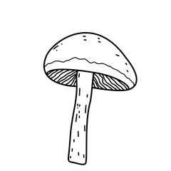 Hand Drawn Mushroom 