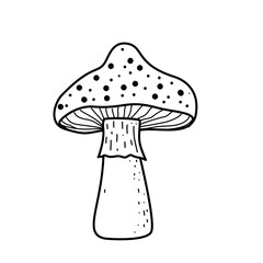 Hand Drawn Mushroom 