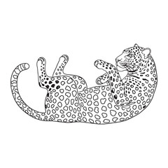 Spotted Leopard Line Art – Leopard Vector Outline Drawing with Detailed Wild Cat Features – Leopard Drawing – Vector of Leopard – Leopard Outline

