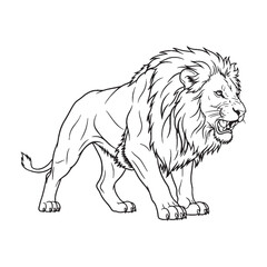 Obraz premium Distinctive Lion Line Art – Lion Vector Outline Drawing with Strong Bold Features – Lion Drawing – Vector of Lion – Lion Outline