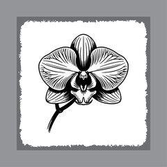 Artistic Orchid Flower Engraving Design
