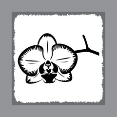Stylized Orchid Blossom with Fine Lines