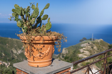 A vibrant cactus plant in a decorative terracotta pot sits on a stone railing, overlooking a scenic...