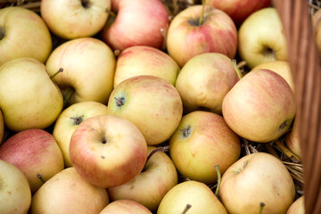 apples and pears